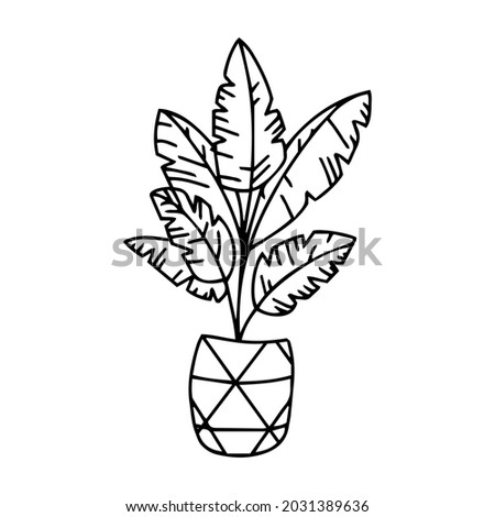 Vector home plants in pots, outline drawings on a white background. Doodle style. Botanical garden vector clipart. Cartoon plants. Hand drawn flat elements