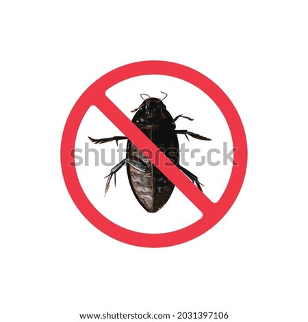 No insects sign, forbidden bettle bug illustration - image