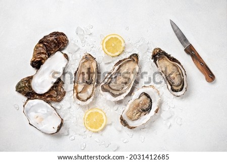 luxury, fresh, white, eating, ice, mollusk, gourmet, food, oyster, expensive, seafood, lemon Royalty-Free Stock Photo #2031412685