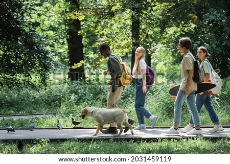 Positive multiethnic teen friends with retriever walking in park
