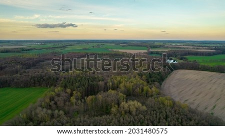 aerial view of green forest from top. drone photography