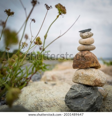 Zen rock tower and wild plants on the beach