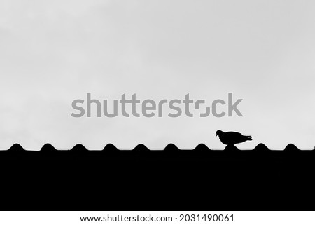 Black and white photo of a pigeon perched on the roof of a house. white sky backdrop
