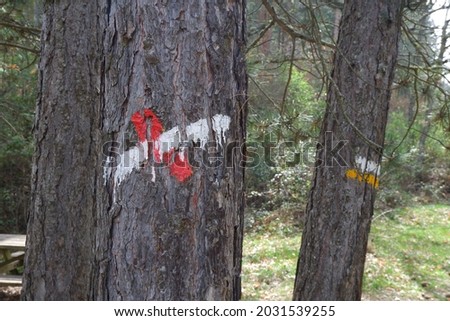 White, red and yellow tree signal in a trekking path