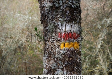 White, red and yellow tree signal in a trekking path