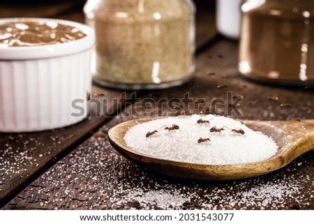 spoon of sugar with many red ants on the table, insects indoors, sweet ants