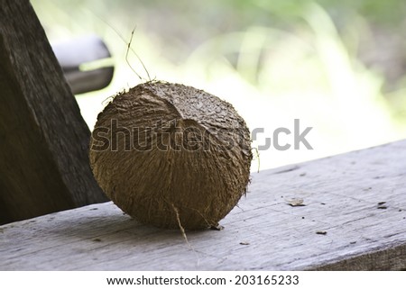 Dried coconut