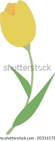 illustration of a single yellow tulip flower