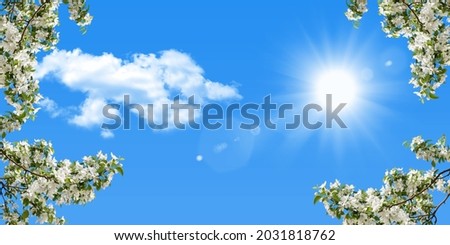 stretch ceiling picture. White spring flowers in sunny blue sky. Shining sun in the clear blue sky.