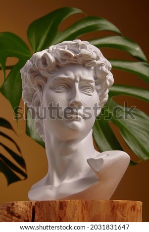 White plaster bust sculpture portrait of a young man. White plaster bust sculpture portrait of a young man. Gypsum statue of David's head. Michelangelo's David statue plaster copy.  Royalty-Free Stock Photo #2031831647