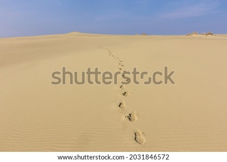 Human footprints on the yellow sand stretching to the horizon. Eph's Dune. Kaliningrad region. Russia