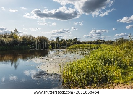 The nature of Belarus with a view of the Lisa river