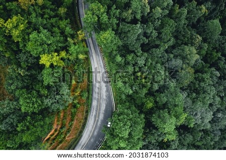 road in the forest rainy season nature trees and fog travel