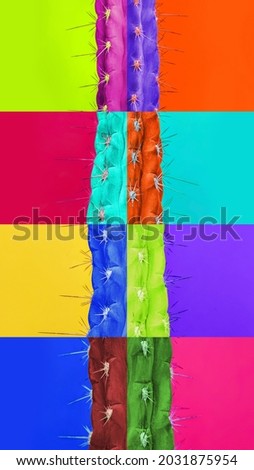 Summer, party mood. Contemporary art collage. Vertical composite image of pieces of multicolored cactus, cacti isolated over colored background. Concept of art, sales, creativity. Trendy bright colors