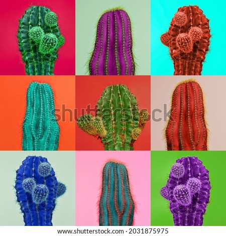 Magazine cover. Contemporary art collage. Square composite image of pieces of multicolored cactus, cacti isolated over colored background. Concept of art, sales, beauty, creativity. Trendy bright