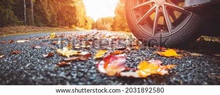 Car on asphalt road on autumnal day at park Royalty-Free Stock Photo #2031892580