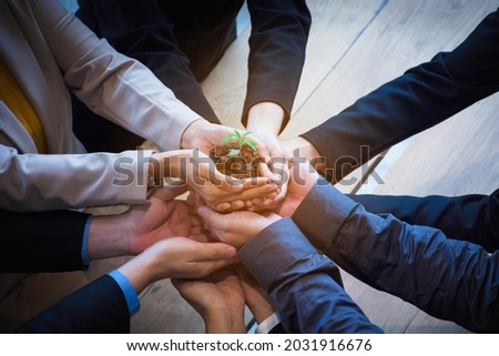 team hand holding plant for growth up business project start up new project concept worker partner smart team, trust partnership.Group of people supporting each others.Team Working friendship Royalty-Free Stock Photo #2031916676