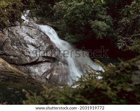 Waterfall long exposure forest scenery