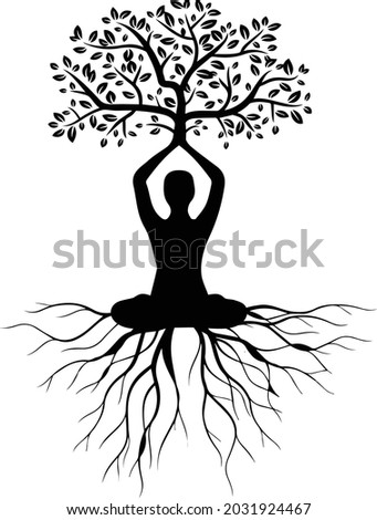 yoga meditation with tree of life silhouettes , meditation illustrations , yoga of tree vector 