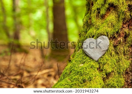 Funeral Heart sympathy or stone funeral heart near a tree. Natural burial grave in the forest. Heart on grass or moss. tree burial, cemetery and All Saints Day concepts	 Royalty-Free Stock Photo #2031943274
