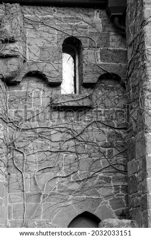 Mystical abstract image with window of an ancient castle with branches on the walls (Halloween, October 31 - concept)