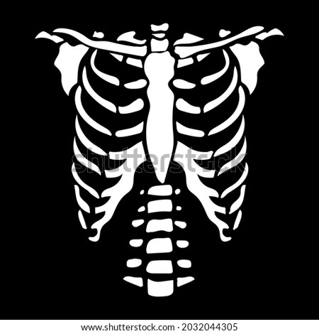White chest bone. T-shirt print for Horror or Halloween. Hand drawing illustration isolated on black background. Vector EPS 10.  Royalty-Free Stock Photo #2032044305