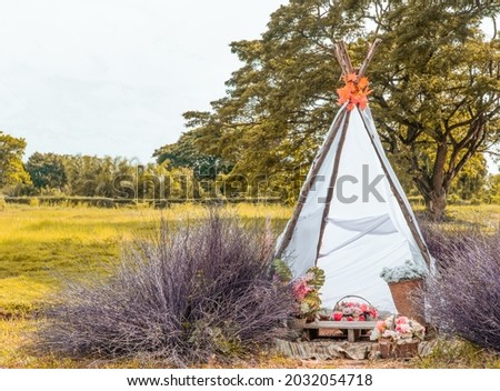 easy tent as Indian style in a dry grass field , clearly weather , decorate with dried flower in pot 