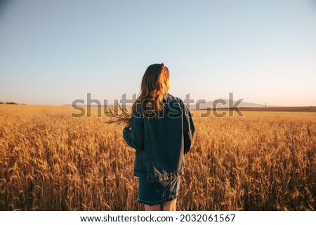 girl in a denim jacket in a wheat field. silhouette of a young beauty walking through a fertile field with ears of wheat, a field in front of haymaking. setting sun, individual photo session. 