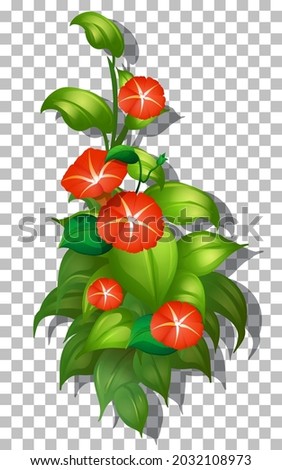 Tropical flower and leaf on transparent background illustration