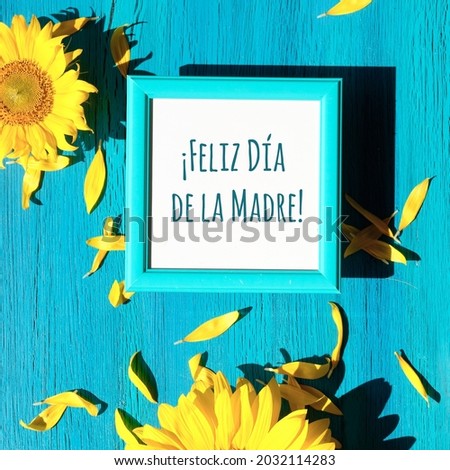 Text Feliz Dia de la Madre means Happy Mother's day in Spanish language. Yellow sunflower flowers and petals scattered on vibrant textured turquoise wooden background around white frame with greeting.