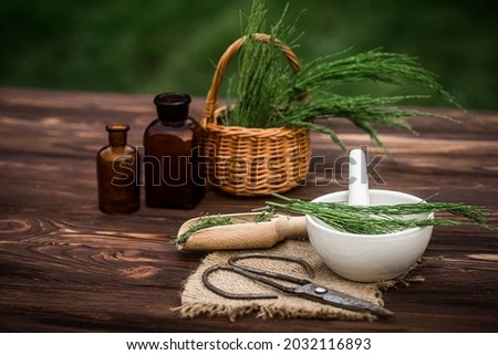 Basket with horsetail collected in ecologically clean place for preparation of potions by healer. Equisetum arvense, field horsetail or common horsetail made from fresh potion, from pharmacy mortar. Royalty-Free Stock Photo #2032116893