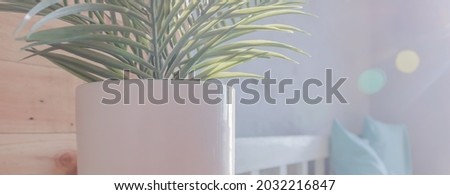 A picture of a white potted plant sits on a wooden table in the room and sunlight enters through the window as a fair light.
