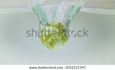 Cabbage falls into the water, stock photo