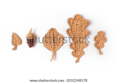 Knitting leaves. Autumn background. Fall mood 