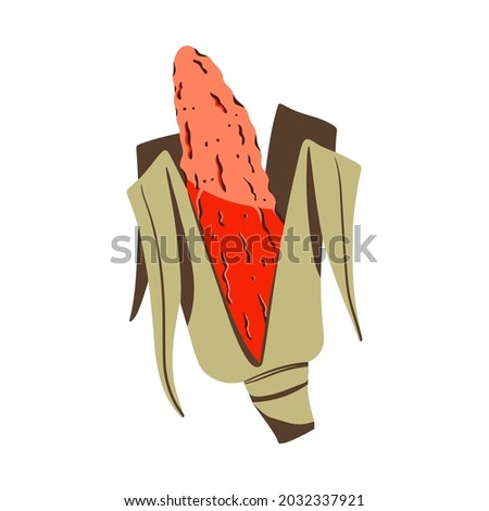 Flint corn, multi colored corn cob flat vector. Indian maize red orange color hand drawn illustration. Calico corn icon. Vegetable symbol for menu vegetarian restaurant, garden café, market Royalty-Free Stock Photo #2032337921