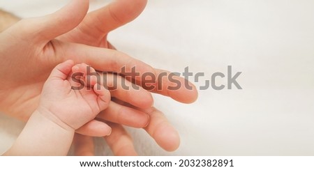 Newborn Baby Hand In Mother and Father Hands on White Blanket. Concept of Parenthood, Child Care. Nursery for Children. Parent Love Concept. Banner Size Royalty-Free Stock Photo #2032382891
