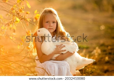 Beautiful girl 5 years old sits holding a white goose in her hands on nature at sunset