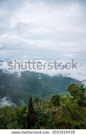 Green rainy season forest with morning fog in Mae Hong Son Province, Thailand, Doi San Fah