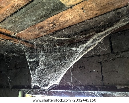 Spider web hit the roof light. Old rustic barn. background - copy space. Royalty-Free Stock Photo #2032445150