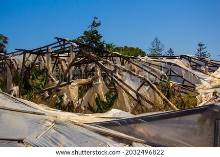 Destroyed greenhouses with bananas on the island of Crete in Greece