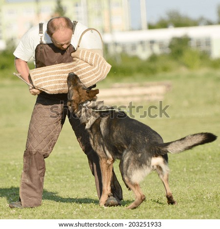 Police Dog outdoor training process 