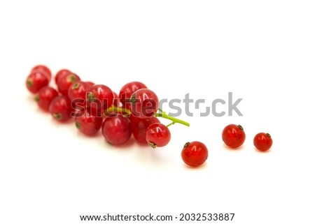 Fresh organic ripe red currant in dew drops isolated on white background. Royalty-Free Stock Photo #2032533887