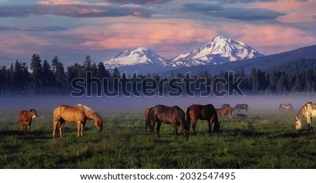 Sunrise with horses on a foggy Black Butte Ranch meadow with the Three Sisters mountains in the background near Sisters Oregon Royalty-Free Stock Photo #2032547495