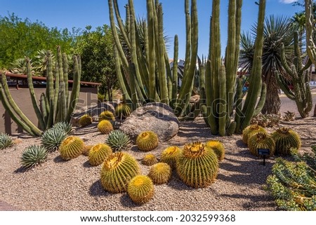 Various Cactus and other plants inhabit the Carefree Desert Gardens in Arizona. Carefree is a suburb of Phoenix.  Royalty-Free Stock Photo #2032599368