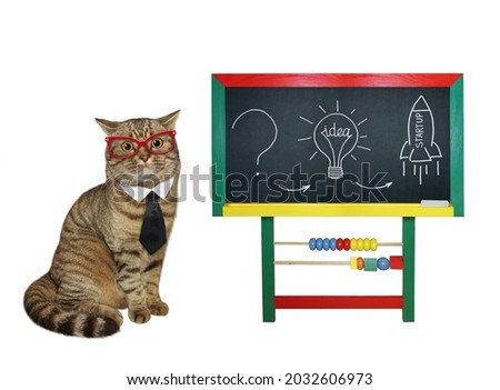 A beige cat teacher in glasses and a tie is giving a lesson near a chalkboard. White background. Isolated.