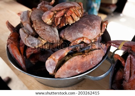Photo of black crabs on kitchen at metal bucket