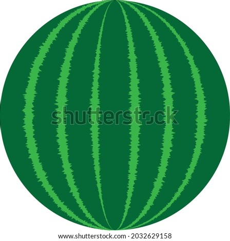 Watermelon vector illustration two tone color 