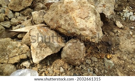 photo of rocky mountain landslides