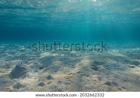 Natural underwater seascape, sand on the ocean floor and water surface with sunlight, Bora Bora, Pacific ocean, French Polynesia Royalty-Free Stock Photo #2032662332