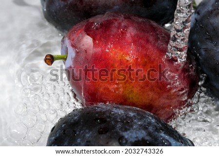Ripe sweet plums are washed under a stream of clean water close up macro photography